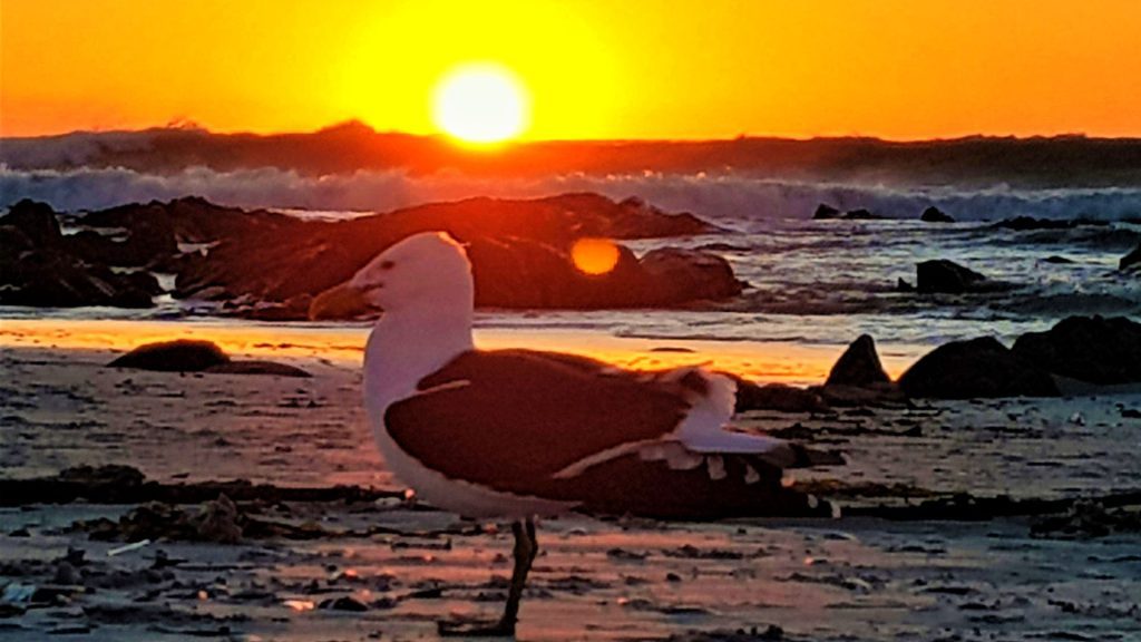 Sunset Watersedge SelfCatering Beachfront Accommodation Melkbosstrand Western-Cape South Africa