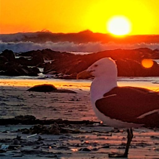 Sunset Watersedge SelfCatering Beachfront Accommodation Melkbosstrand Western-Cape South Africa